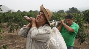 Álamo Pérez Luna, Mariella Patriau, Alfredo Benavides ,Manolo Rojas