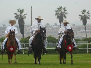 IV Cabalgata del Bicentenario, Universidad Científica del Sur