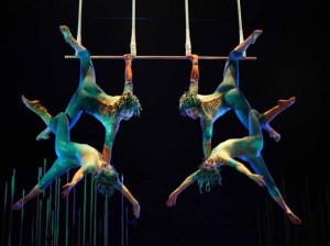 Cirque du Soleil , Varekai , Teleticket de Wong y Metro